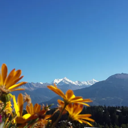 Splendide Отель