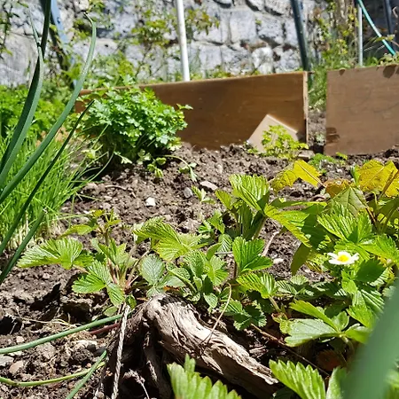 Splendide 3* Crans-Montana