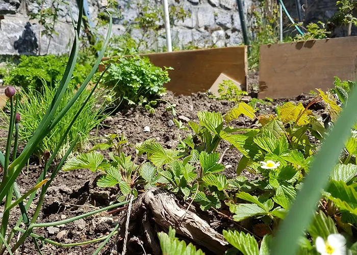 Splendide 3* Crans-Montana