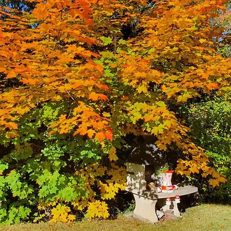Splendide Hotel Crans-Montana