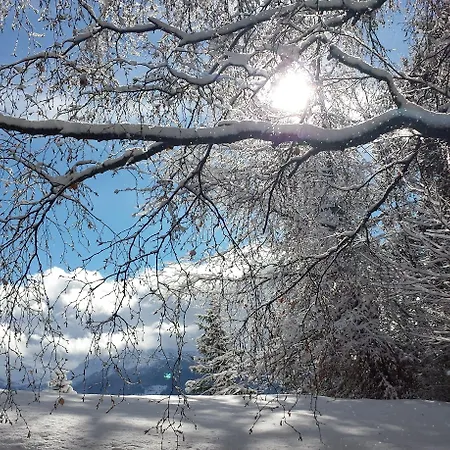 Hotel Splendide Crans-Montana
