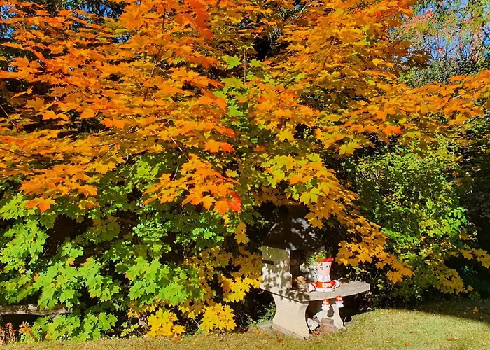 Splendide Hotel Crans-Montana